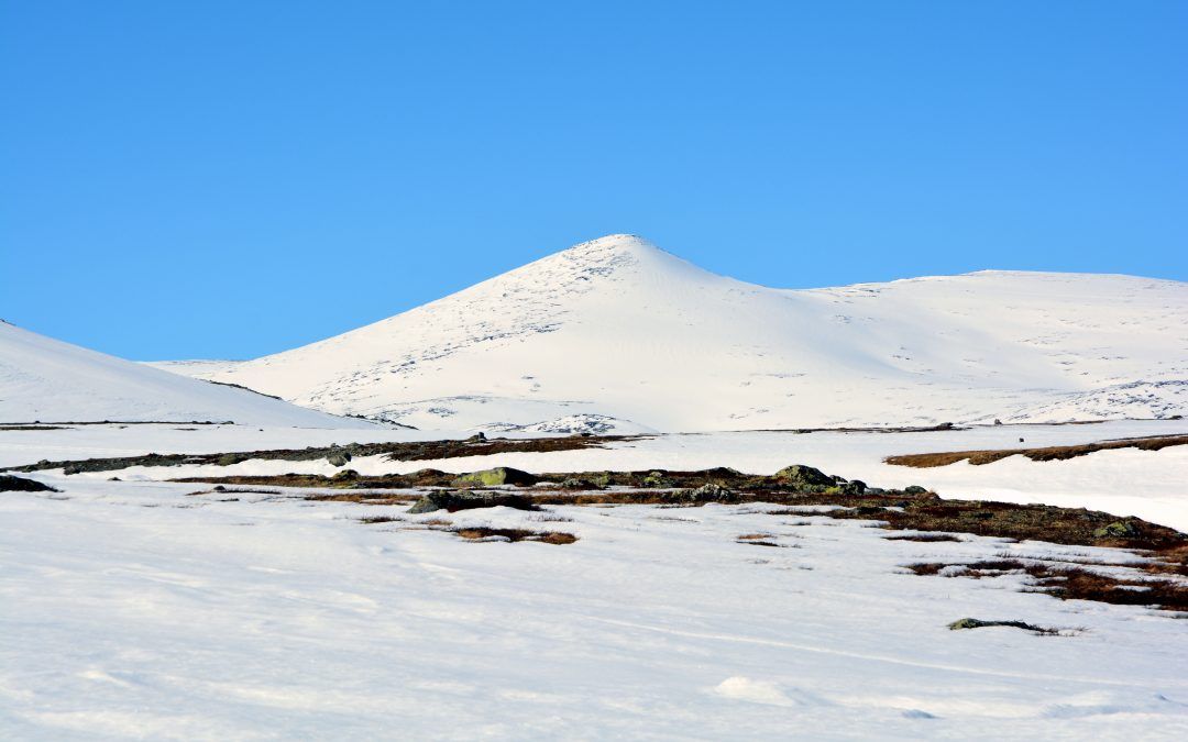 Nautgardstind (2257m) turbeskrivelse